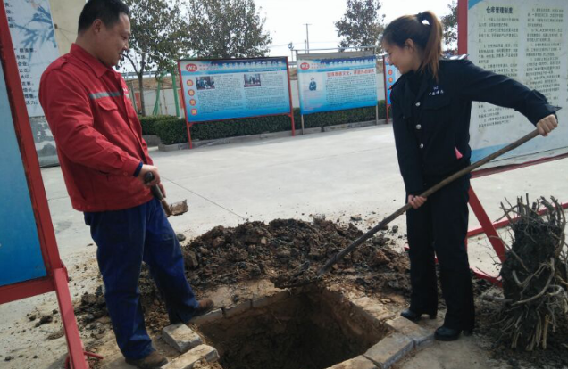 播下綠色樹種,放飛中國偉志的希望