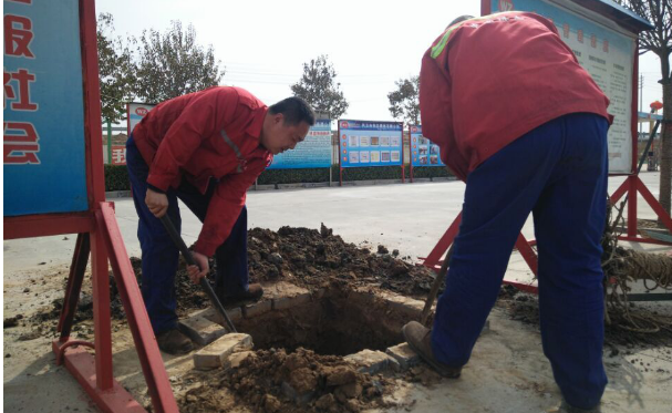 播下綠色樹種,放飛中國偉志的希望