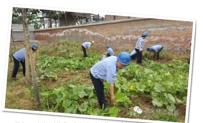 員工冒雨參加義務勞動!感動———偉志鋼模板廠家