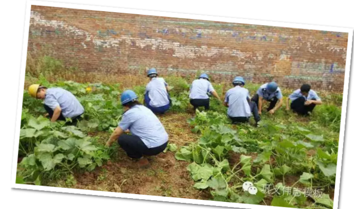 員工冒雨參加義務勞動!感動———偉志鋼模板廠家