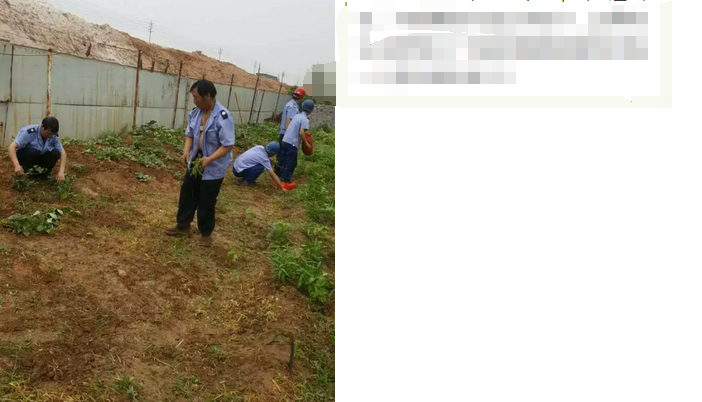 員工冒雨參加義務勞動!感動———偉志鋼模板廠家