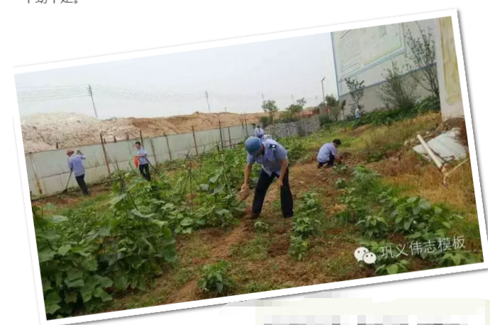 員工冒雨參加義務勞動!感動———偉志鋼模板廠家