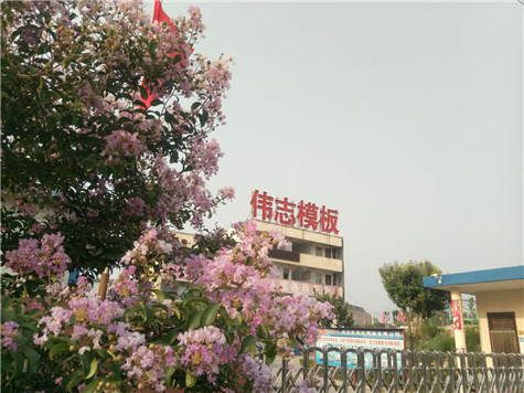 專業 專注,河南偉志模板在2018年期待您的光臨