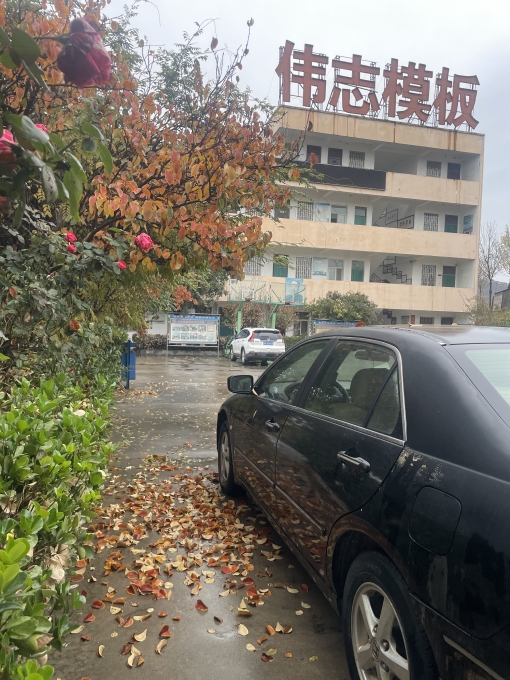 偉志模板溫馨提示:注意大風(fēng)降溫天氣!